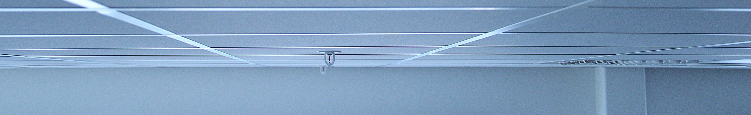 DSC 0072