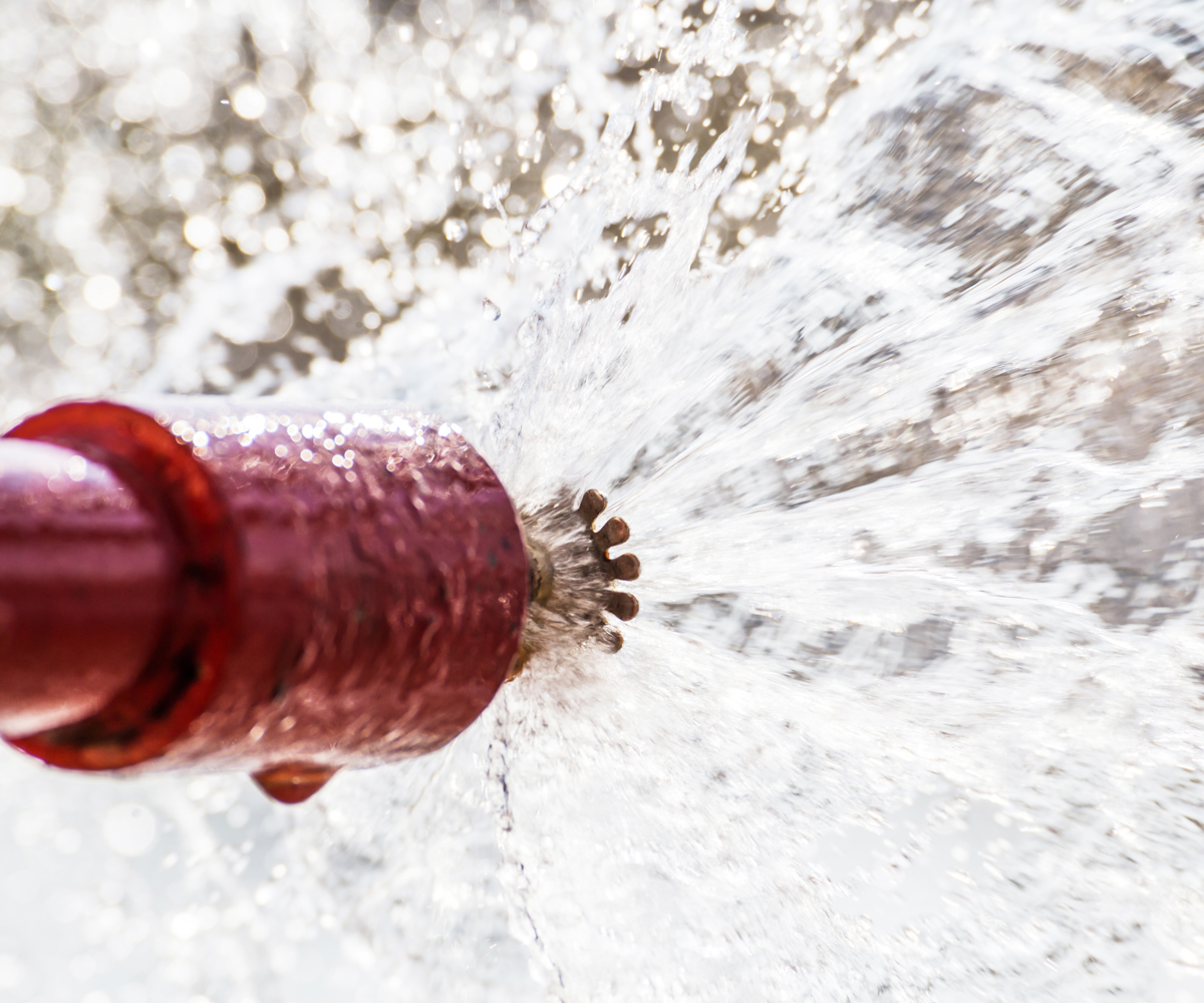 Shutterstock 536514955