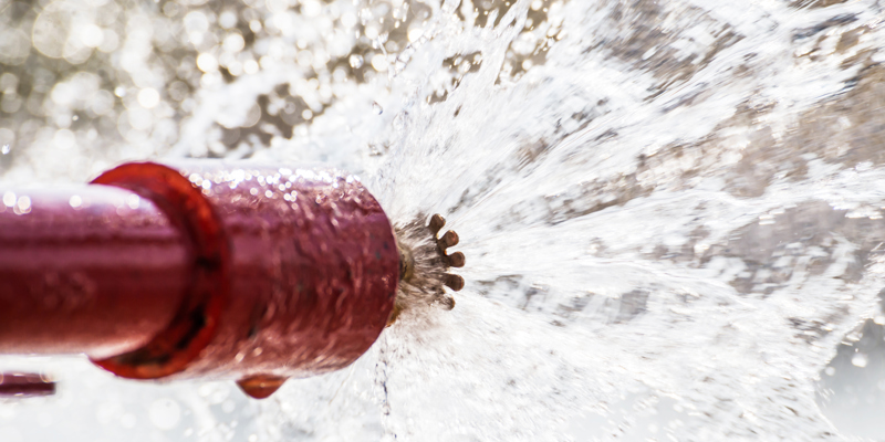 Shutterstock 536514955