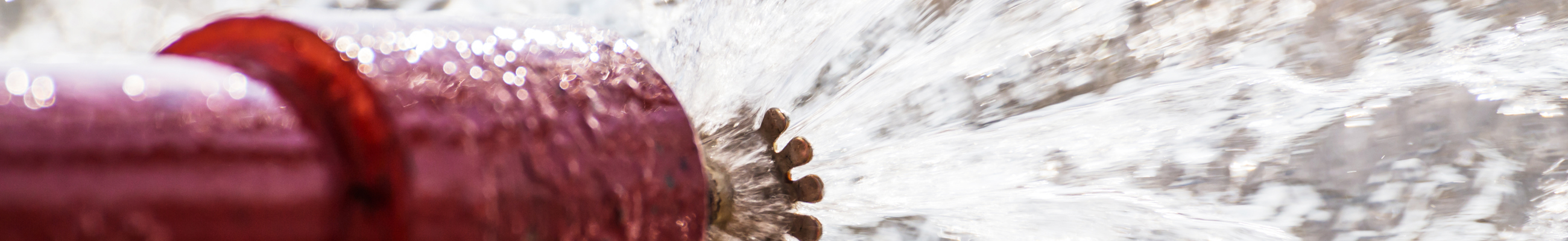 Shutterstock 536514955